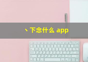 丶下念什么 app